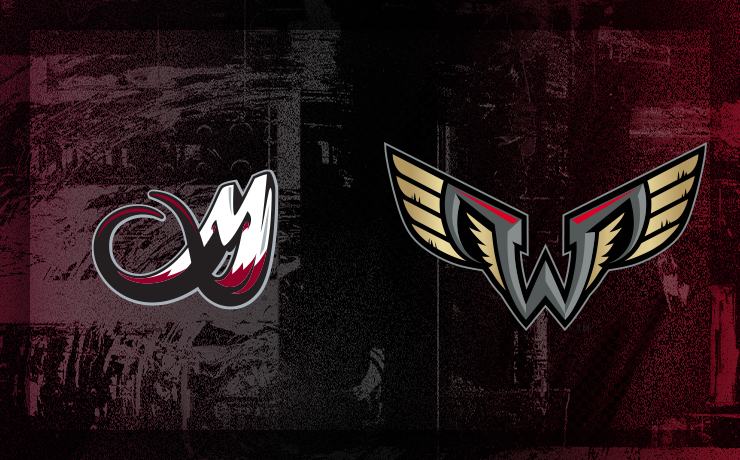 More Info for Mammoth vs. Wings