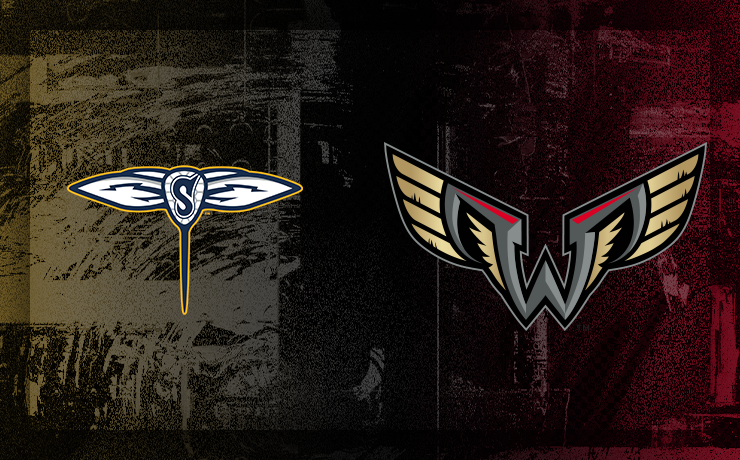 More Info for Swarm vs. Wings